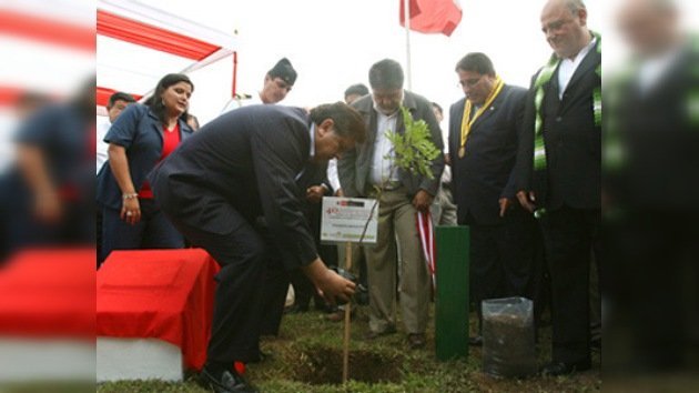 Perú encabeza programas de reforestación en Sudamérica