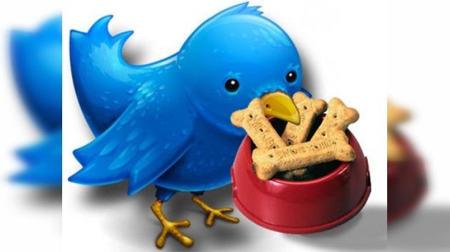 Twitter, la herramienta perfecta para alimentar a su mascota
