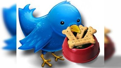 Twitter, la herramienta perfecta para alimentar a su mascota