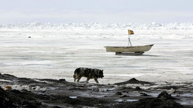 Científicos: El apocalipsis climático comenzará por la isla de Kivalina, cerca de Alaska