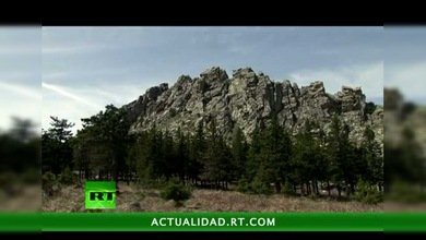 ENCUENTROS CON LA NATURALEZA : LA RESERVA DE TAGANÁI