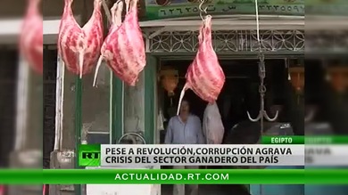Una 'plaga egipcia' amenaza con el hambre a 83 millones de personas