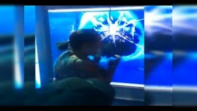Un tiburón 'ataca' a una señora en un museo