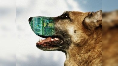 Una nueva 'nariz electrónica' es capaz de valorar los olores