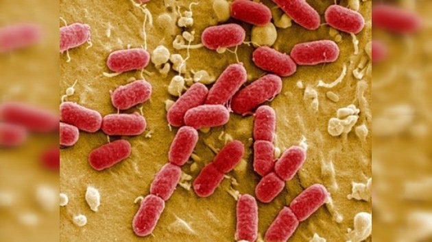 Ya son 50 las víctimas mortales de la bacteria 'E.coli'