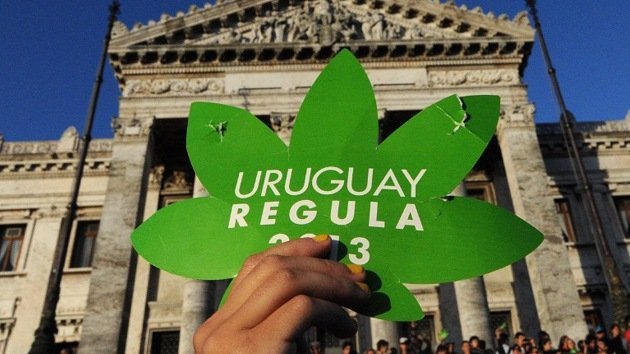 La OEA no apoya a Uruguay en la legalización de la marihuana