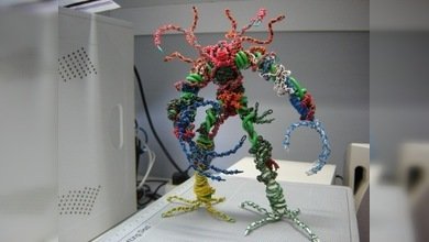 En España descubren red viral de 12,7 millones de PC