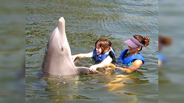 Un veterano de Vietnam ayuda a los delfines heridos a 'salir a flote' en aguas de Florida