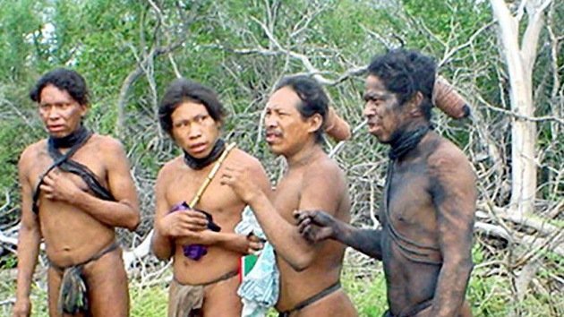 Una firma española, acusada de tala ilegal en territorio indígena paraguayo