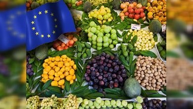 Europa solicita a Argentina que levante las restricciones a importaciones