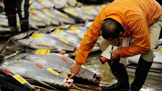 Japón pesca cesio radiactivo