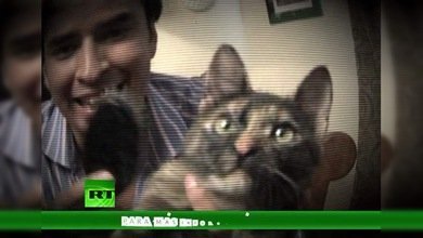 La lista de Erick: ¿Alguien habla felino? (E11)