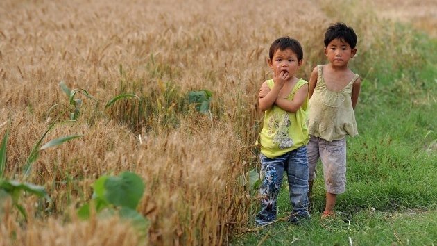 China 'conquista' el mundo para obtener comida