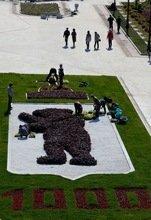 Yaroslavl: un oso en el escudo desde hace mil años