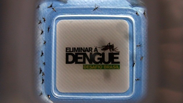 Brasil libera miles de mosquitos 'buenos' para combatir el dengue