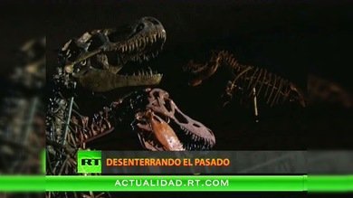 DESENTERRANDO EL PASADO