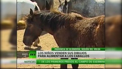 Niños rusos venden sus dibujos para salvar a los caballos percherones