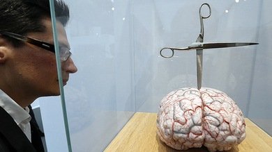 Un modelo computacional explica cómo se retienen los recuerdos en la memoria
