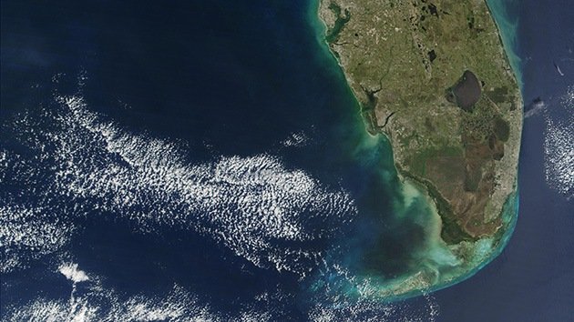 Una gran marea de algas rojas amenaza las costas de Florida