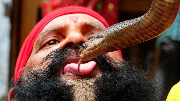 Fotos: El curioso festival de encantadores de serpientes de la India