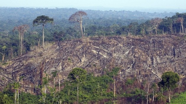 Brasil hará un inventario de todos sus árboles en la Amazonía