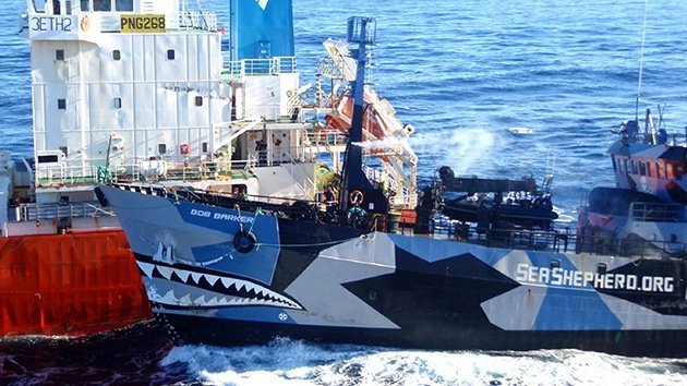 EE.UU. califica de "piratería" la lucha de Sea Shepherd contra los balleneros