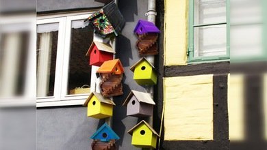 Nuevas tecnologías y glamurosa decoración para las casas de pájaros
