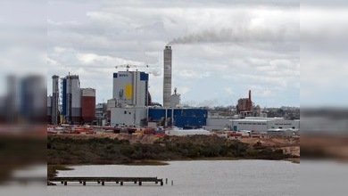 El dictamen sobre el litigio entre Uruguay y Argentina se conocerá en abril