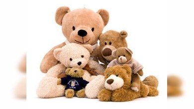 ¡Envíe su muñeco de peluche de vacaciones a Praga!
