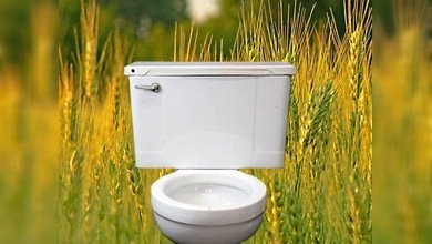 EBay vende el inodoro de Salinger por un millón de dólares