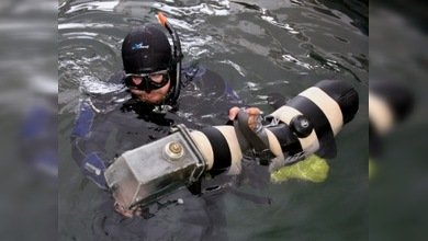 Escafandra y tubos de oxígeno para que un perro bucee