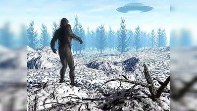 Nueva expedición en búsqueda del misterioso y esquivo yeti