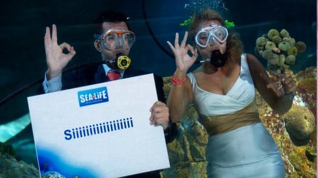 FOTOS: Una pareja se casa bajo el agua rodeada de tiburones