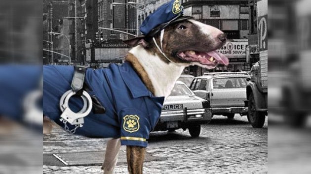 El vídeo del 'perro-patrullador' bate récords en Internet
