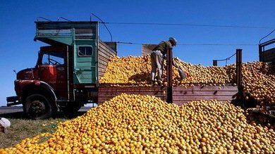 "América Latina no renunciará a aumentar exportaciones a Rusia"