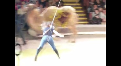Esta pobre mujer no volverá al circo nunca más en su vida