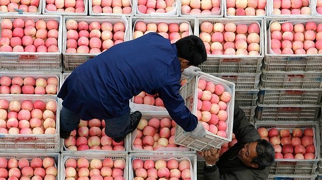China construirá centros logísticos para la venta de productos agrícolas a Rusia