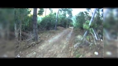 "¡No pasarás!" Carnero contra motociclista