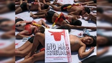 Defensores de los animales protestan contra la tauromaquia en Perú