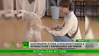 La terapia con animales, capaz de iluminar la vida de personas con discapacidad cognitiva