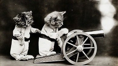 Adorable album centenario de gatos con ropa