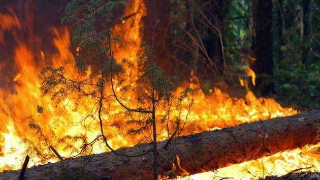 FOTOS, VIDEO: 33 incendios simultáneos devoran los bosques de Siberia