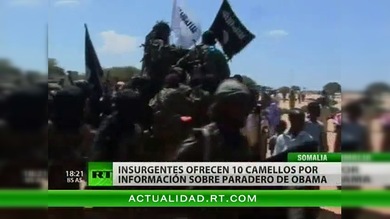 Los islamistas de Al Shabab ofrecen 10 camellos por Obama