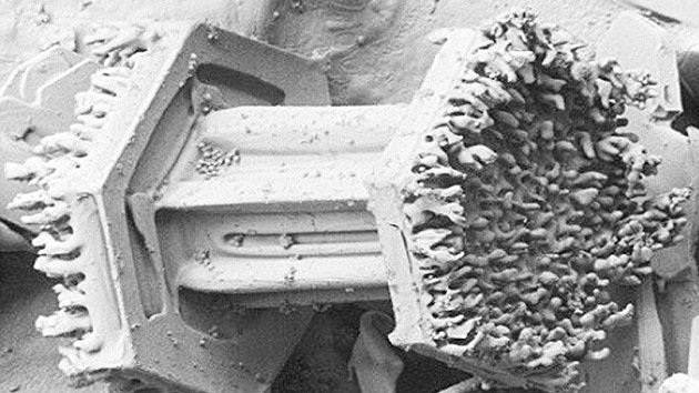 Sorprendentes imágenes de la nieve captadas con un microscopio congelado