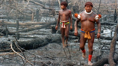 Los incendios forestales convertirán al 'pulmón del planeta' en un desierto estéril