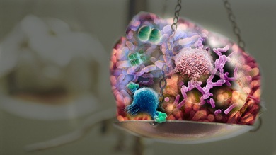 Peso que no se quita: las bacterias nos ‘regalan’ al menos un kilo en la báscula