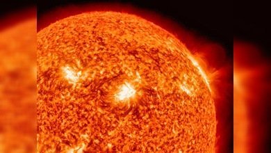 ¿El Sol es culpable del desastre en Japón?