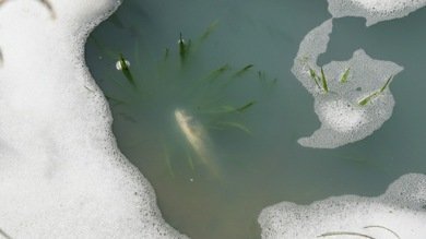 Enjuiciados directivos de una multinacional por contaminar un acuífero en España