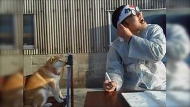 Un perro rocía a su dueño con una manguera