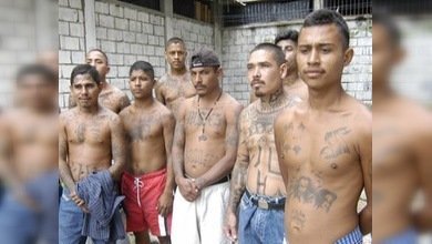 En Miami aumenta la actividad de las bandas